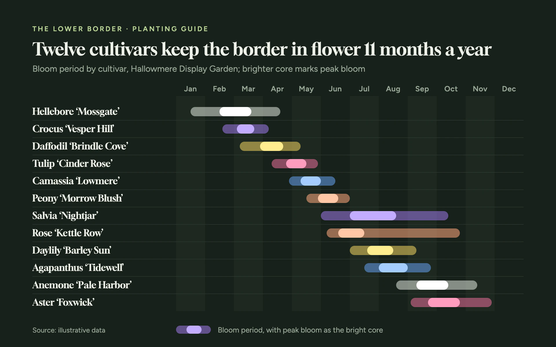 Bloom Calendar bar chart, dark theme: Floating bloom-period bars in flower colors with bright peak cores.