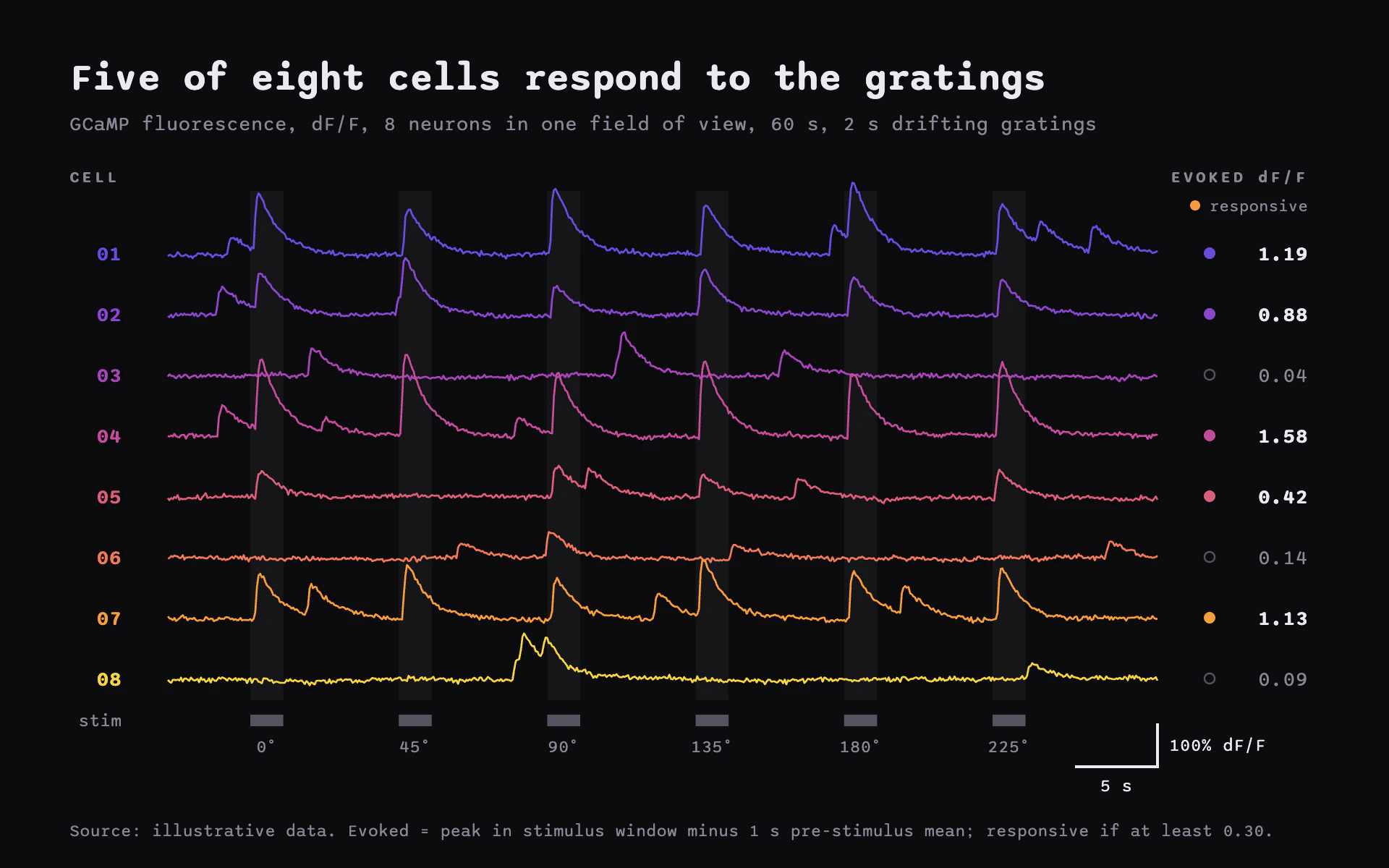 Calcium Traces line chart, dark theme: Stacked raw imaging traces on black in a violet-to-yellow ramp with a scale bar.