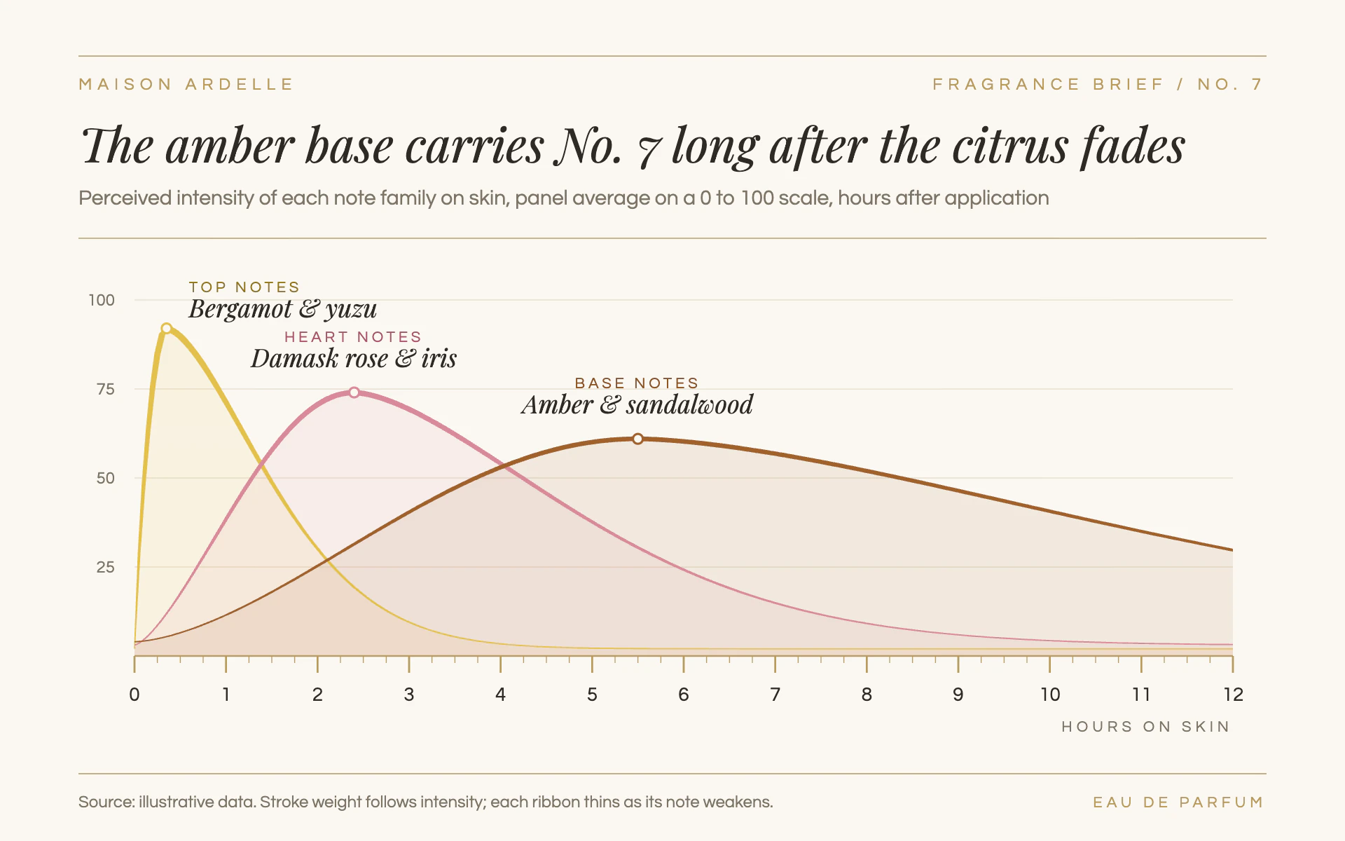 Drydown line chart, light theme: Ivory fragrance brief: tapered note ribbons that thin as they fade, watch-dial hours.