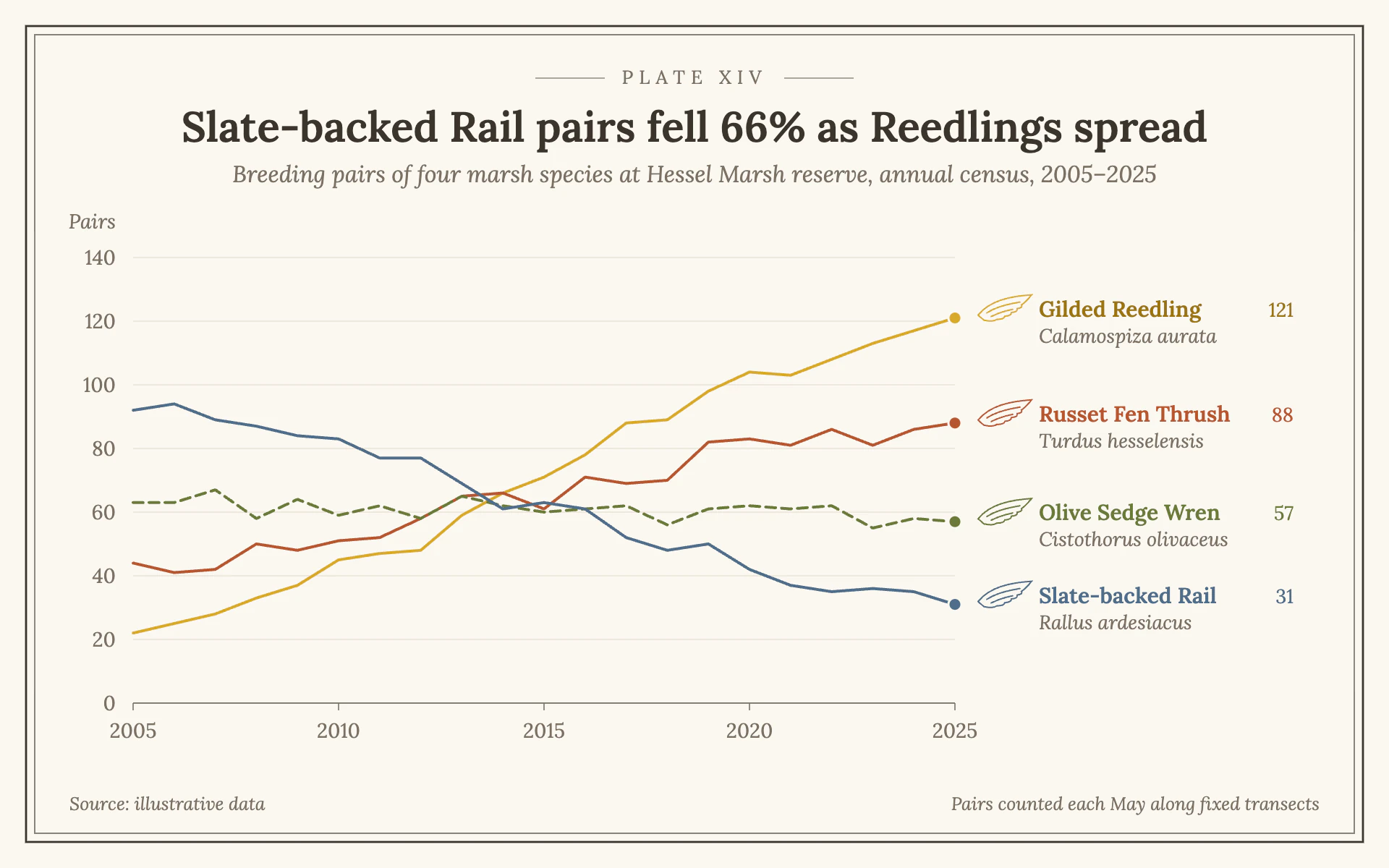 Field Guide line chart, light theme: A numbered bird-guide plate with plumage-hued lines and Latin names.