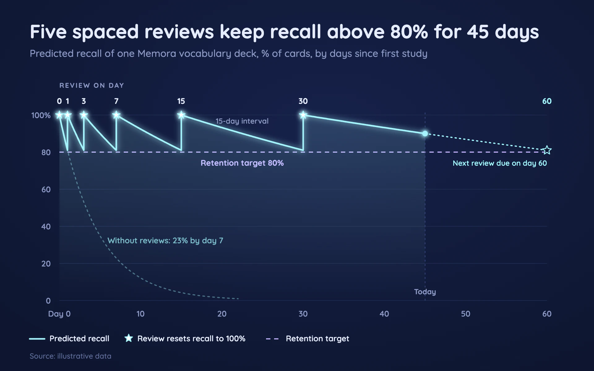 Forgetting Curve line chart, dark theme: Glowing cyan decay curves on navy that reset at star-marked reviews.