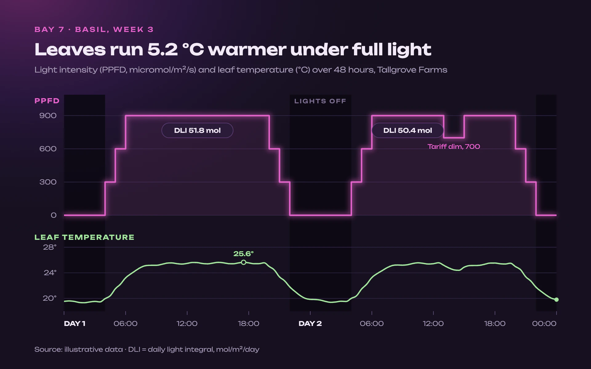 Grow Light line chart, dark theme: Glowing magenta light steps over dark violet with lights-off bands.
