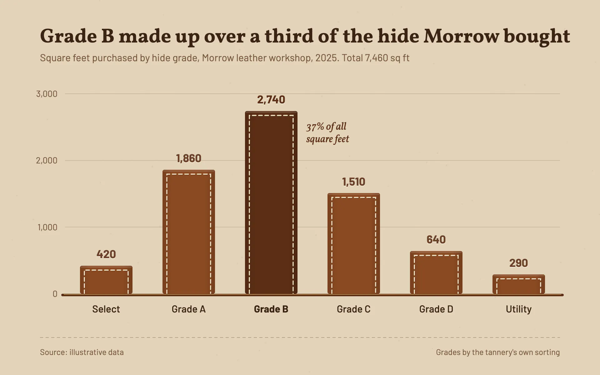 Hide Grades bar chart, light theme: Tan leather ground with saddle-brown bars edged in dashed saddle stitching.