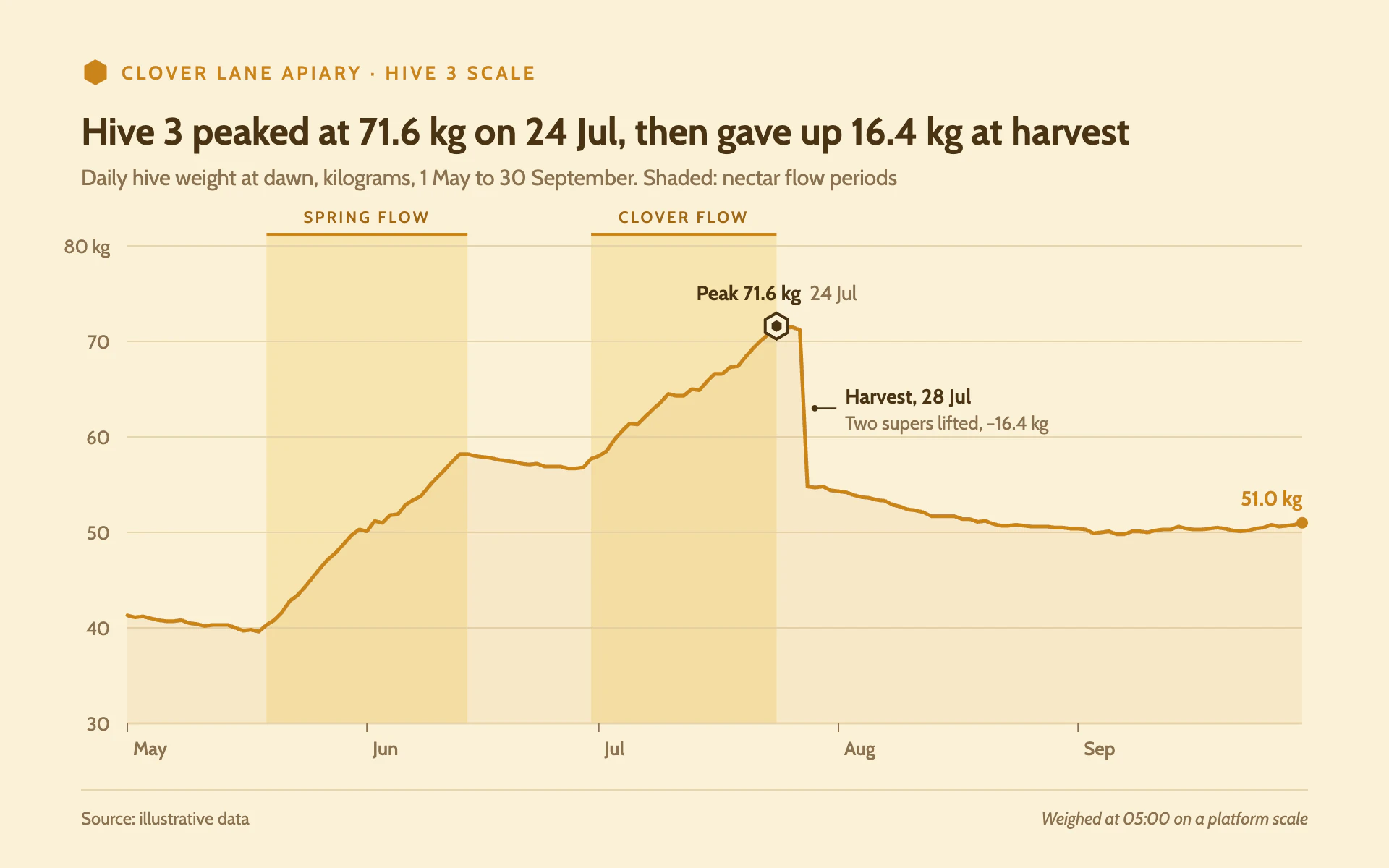 Hive Scale line chart, light theme: A beekeeper's season log with nectar flows in pale gold and a hexagon on the peak.