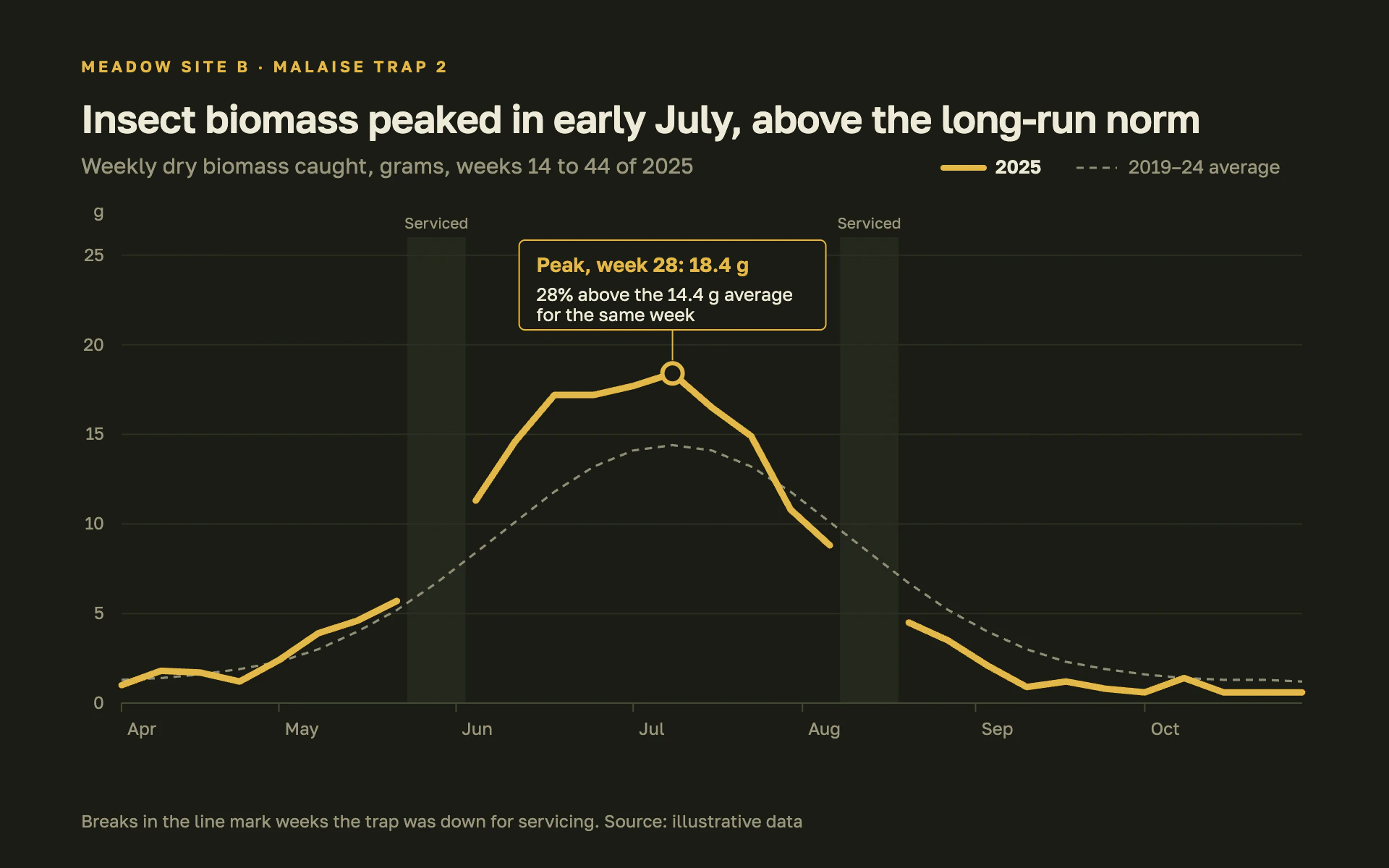 Malaise Biomass line chart, dark theme: Thick gold line on olive-black that breaks at trap gaps, with a boxed peak callout.