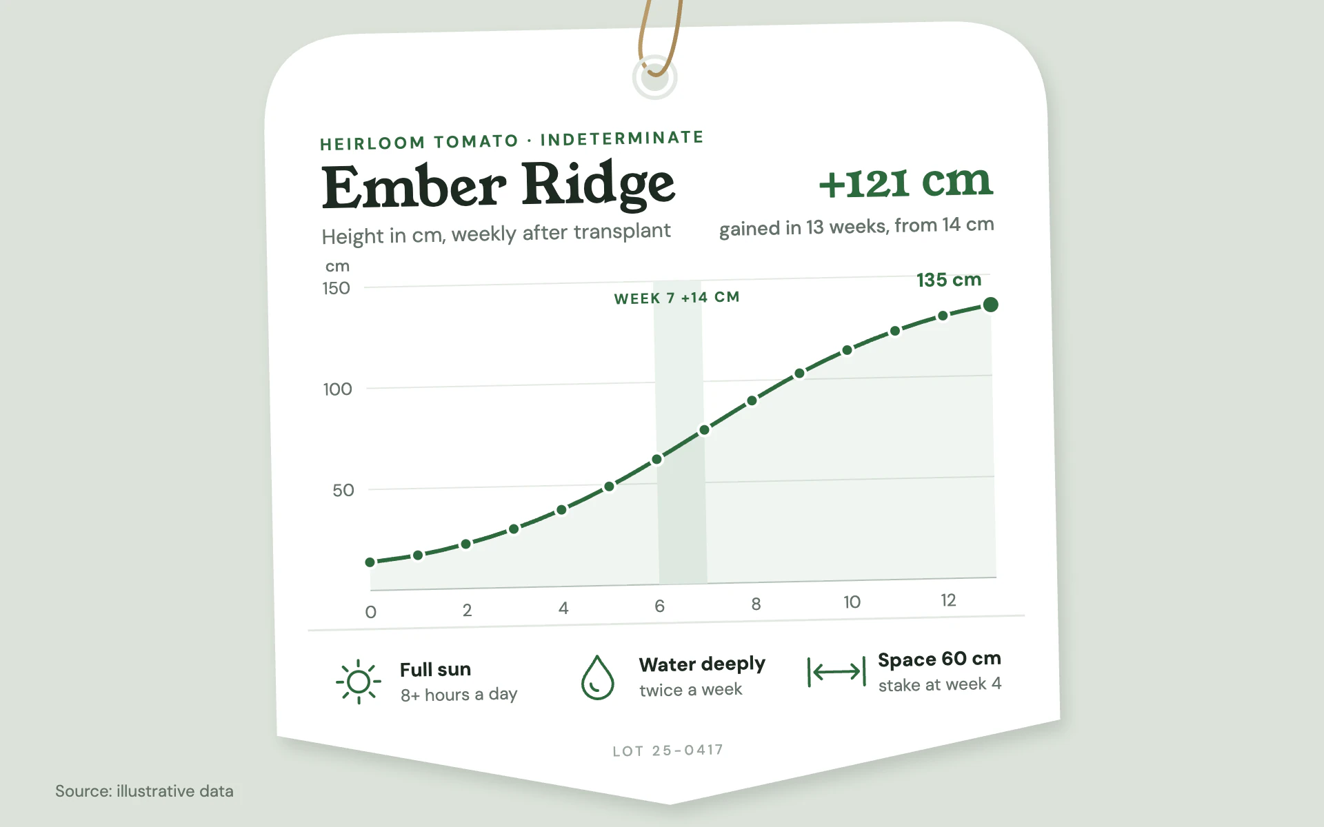 Nursery Tag line chart, light theme: A growth line printed on a hanging white plant tag with a care strip.
