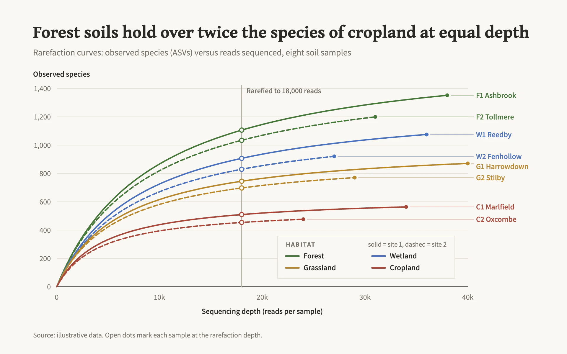 Rarefaction line chart, light theme: Saturating field-ecology curves in four muted habitat hues on warm off-white.
