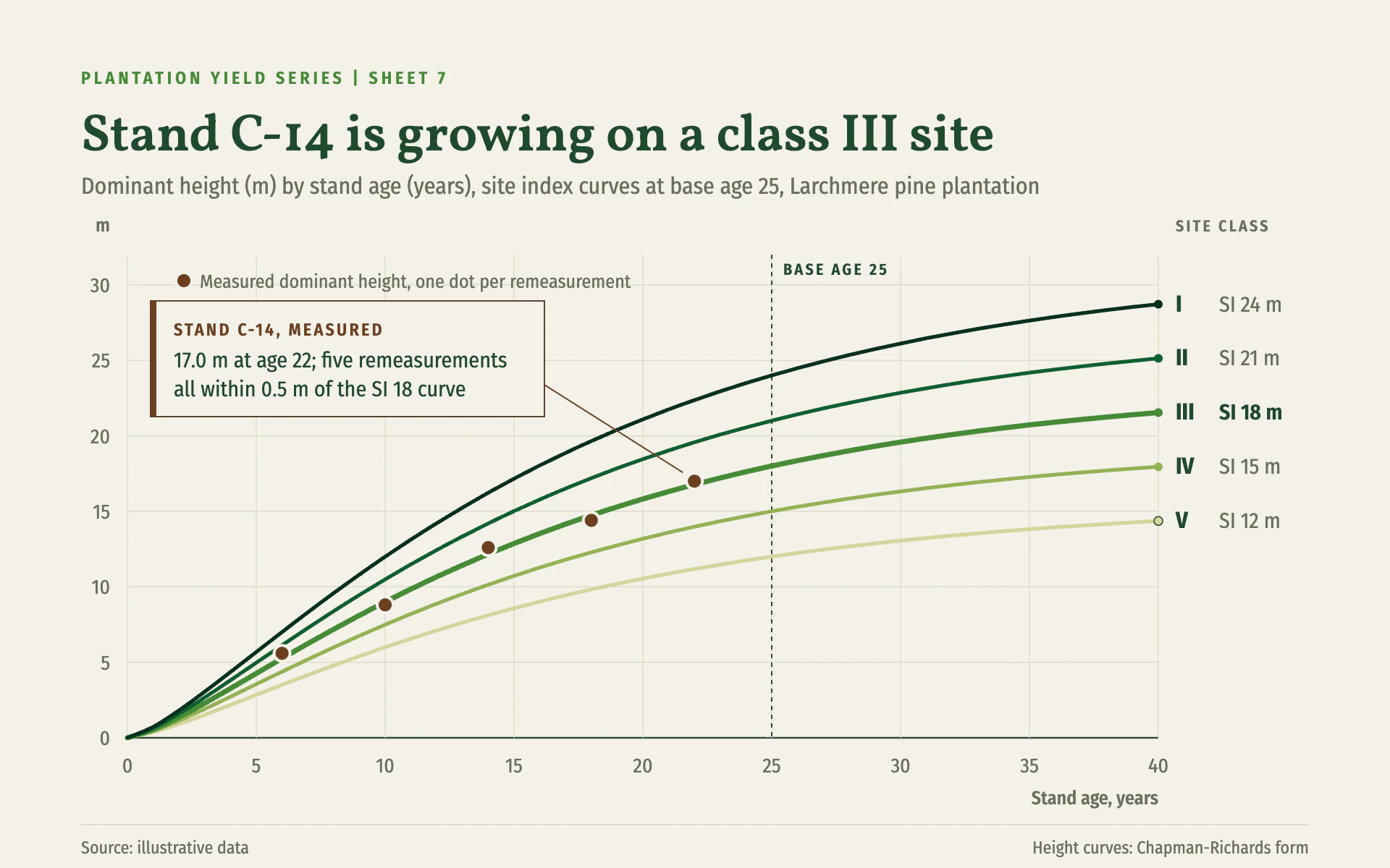 Site Index line chart, light theme: Forester's growth curves in graded greens with a measured stand in bark brown.