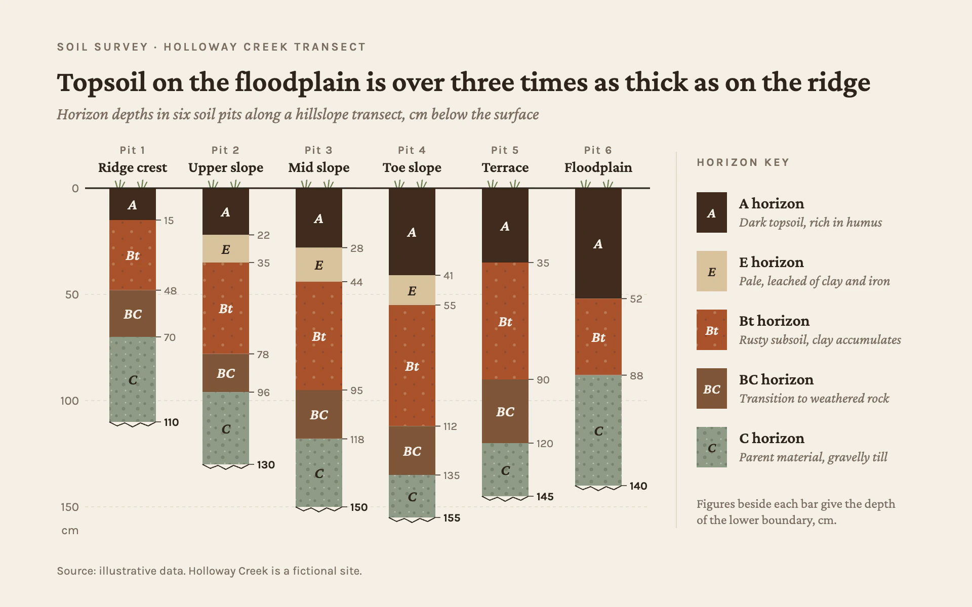 Soil Profile bar chart, light theme: Soil-colored stacked columns hanging from a ground line, with a field-guide key.