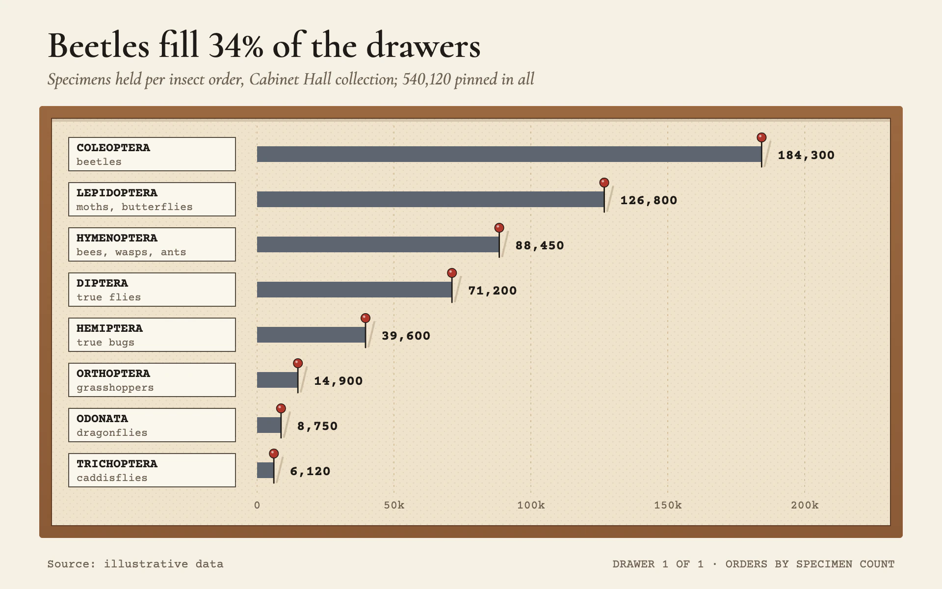 Specimen Pins bar chart, light theme: Cork drawer in a wood frame with slate bars pinned by red-headed specimen pins.