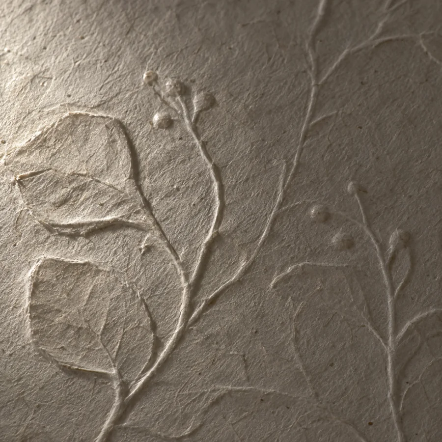Raking-Light Surface Photography: Low grazing light reveals faint surface relief through long delicate shadows.
